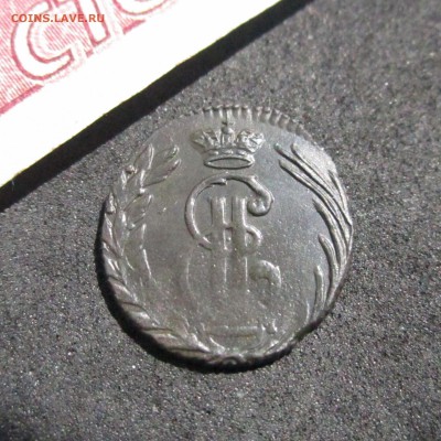 Полушка 1769 (Сибирь). - IMG_3455.JPG