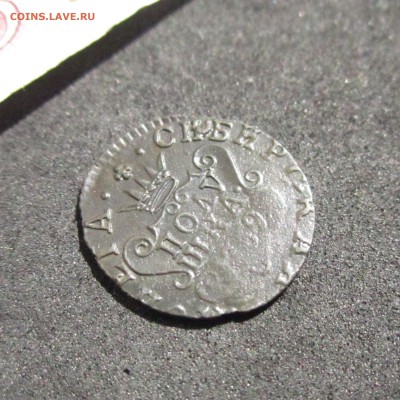 Полушка 1769 (Сибирь). - IMG_3454.JPG