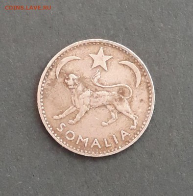 50 чентезимо Сомали 1950 года - 1D29La0LNX0