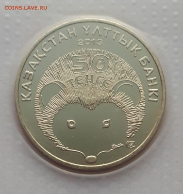50 тенге 2013 Казахстан Ёж(запайка) до 23.05.19 в 22.00мск - 20190501_101710-1083x1148