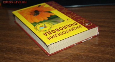 "Энциклопедия пчеловодства" А.Н. Бурмистров  до 24.05.2019 - IMG_0948.JPG