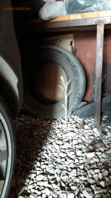 делает - прямо сейчас !!! - Screenshot_20190519-075821_Gallery