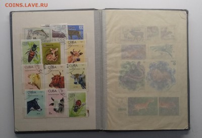 Альбом с 126 почтовыми марками до 24.05. в 22.00 м - IMG_20190519_125151