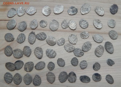 115 кладовых чешуек Грозного, цена фикс - 115-2