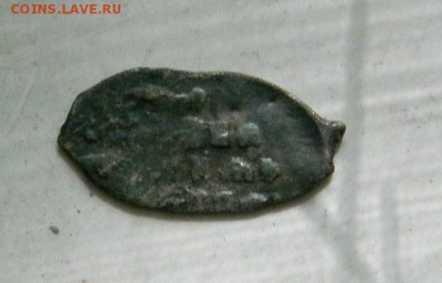 чешуйка,определение и оценка - DSCN3497.JPG