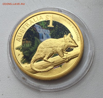 Австралия 1$ доллар 2010 Кволл Крапчатая сумчатая куница - IMG_3736.JPG