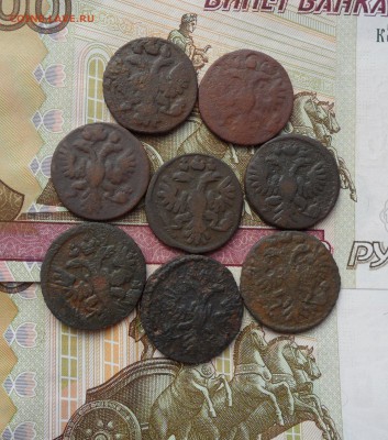 Лот полушки 1730-35 гг.(8 шт), до 26.05.19 в 22.00 мск - 2.JPG