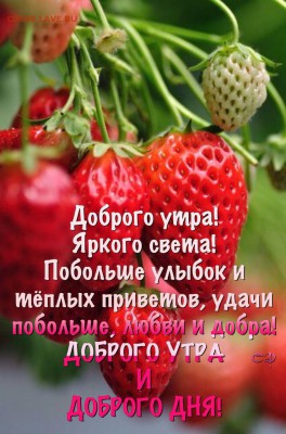 делает - прямо сейчас !!! - IMG-20190516-WA0000