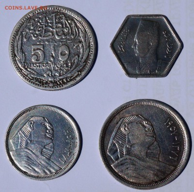 Нечастый Египет, фикс 500 руб., до ухода в архив - DSC002421