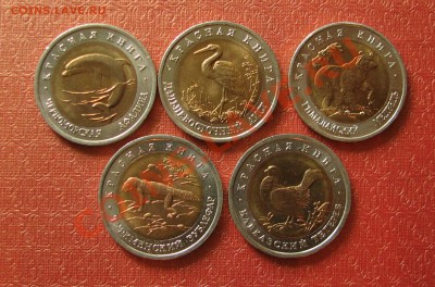 Красная книга 1991г. 1993г. - IMG_0662.JPG