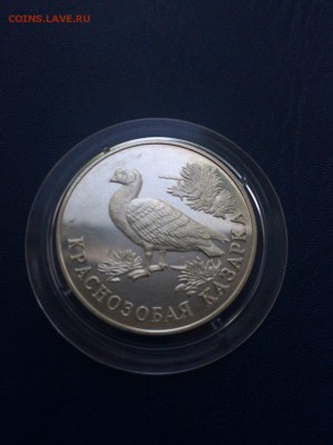 1 рубль 1994 Краснозобая казарка до 22.05.2019 - IMG_2891.JPG