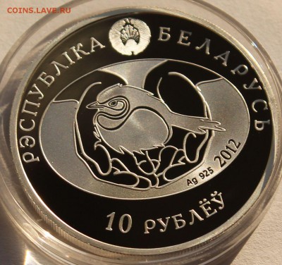 Беларусь 10 руб. 2012, Черный стриж, Ag,925, вес-16,81 - 7