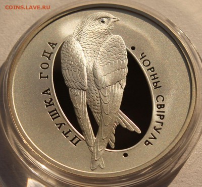 Беларусь 10 руб. 2012, Черный стриж, Ag,925, вес-16,81 - 3