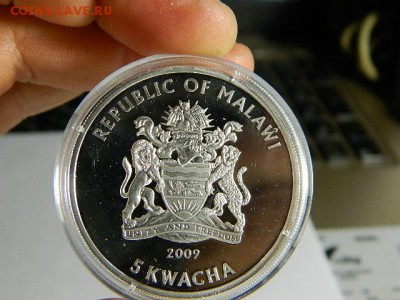 Малави 5 квача 2009г. Посеребренная медь.Одна из 4монет набо - DSCN1547.JPG
