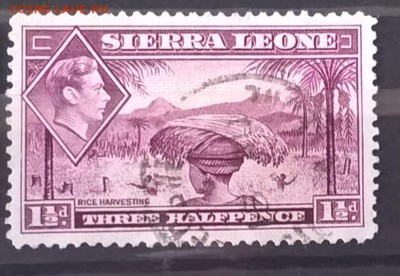 Колонии 1938 Сьера Леоне 1м - 18