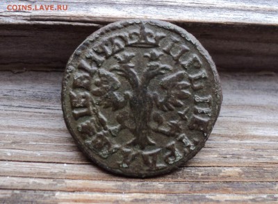 Деньга 1702, 1705, 1708 гг. Копейка 1714 г. - 3 (2)