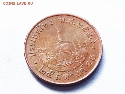 помогите определить что это? - P90523-151434(1)