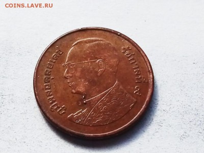 помогите определить что это? - P90523-151445(1)