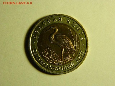 Красная Книга  Дальневосточный Аист 1993г. - DSCN1675.JPG
