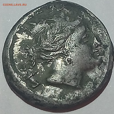Драхма-Серебро Херсонес 110-120 гг до н. э - _20190525_173607.JPG