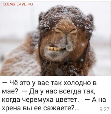 юмор - i
