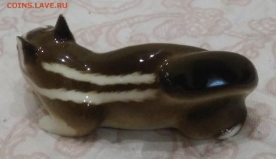 Бурундук. ИФЗ. - IMG_20190525_190446