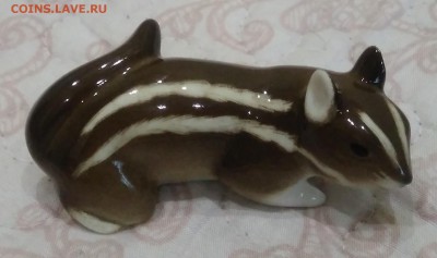 Бурундук. ИФЗ. - IMG_20190525_190426
