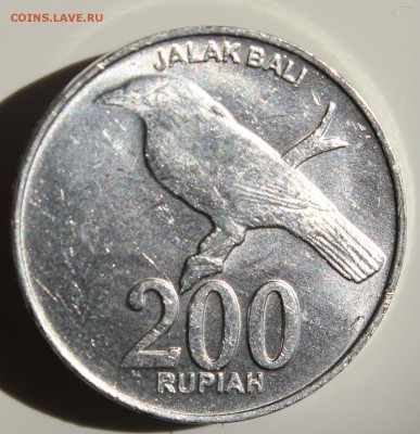 С РУБ.ИНДОНЕЗИЯ 200 рупий 2003г.ПТИЦА до 1.06 в 22-00 - IMG_7786.JPG