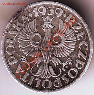 1 грош 1939 г. Окупация. Цинк до 04.07.11 г. в 19.00 - IMAGE0046.JPG