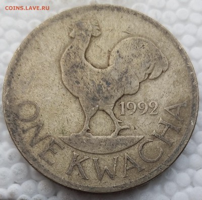Малави 1 квача 1992 до 30.05.19 - 15