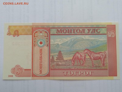 МОНГОЛИЯ,5 тугриков 2008г(бона)до 29.05.2019г - IMG_20190525_160321