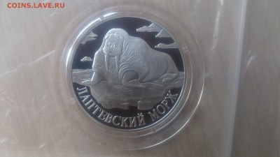 Красная книга 1 Рубль 1998 ЛАПТЕВСКИЙ МОРЖ до 2.06. 22.10 - DSC_4750.JPG