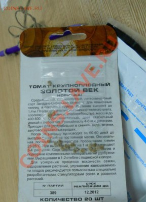 Сортировка на Казанском... - 4se2YKu5wkWJUOAzaLCa7w