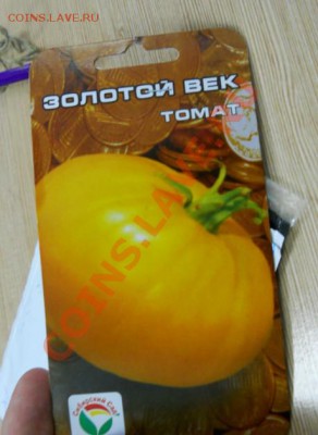 Сортировка на Казанском... - scoHT0PY9k6JppVlTJISNw