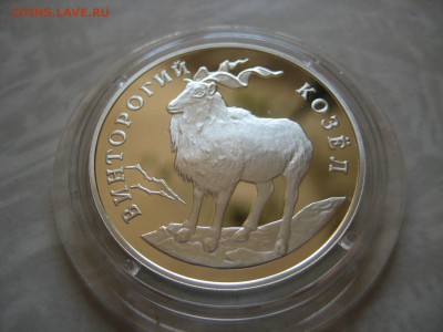 1рубль. Винторогий Козёл. - IMG_1900.JPG