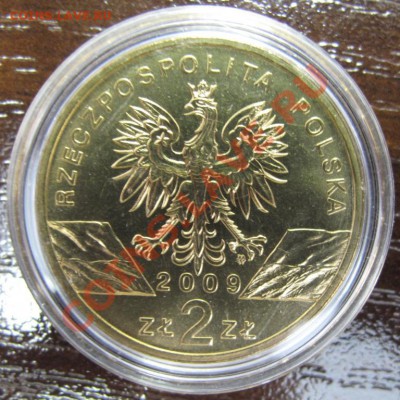 2 злотых с кристаллами, Ящерица, 2009 - IMG_0057.JPG