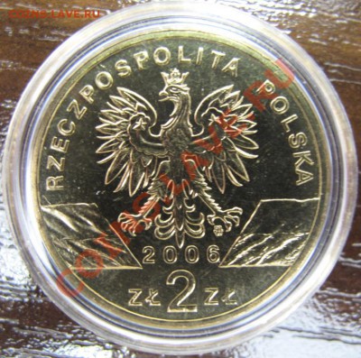 Польша, 2 злотых с кристаллами, Суслик, 2006 - IMG_0063.JPG