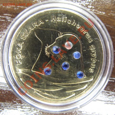 Польша, 2 злотых с кристаллами, Тюлень, 2007 - IMG_0064.JPG