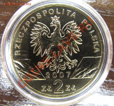 Польша, 2 злотых с кристаллами, Тюлень, 2007 - IMG_0065.JPG