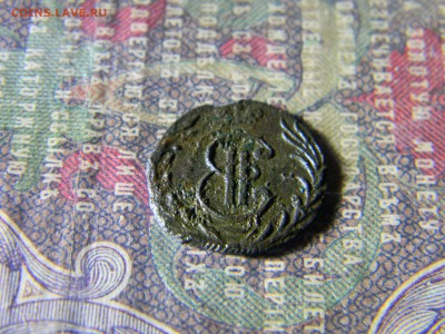 полушка 1779 Сибирь  до 30.05 в 22.00 по Москве - Изображение 6013