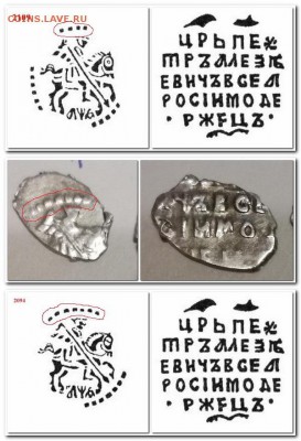 Помогите в определении чешуек (6 шт) - 2019-05-28_225552