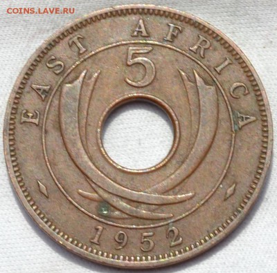Восточная Африка 5 центов 1952. 31. 05.2019. в 22 - 00. - DSC_0095