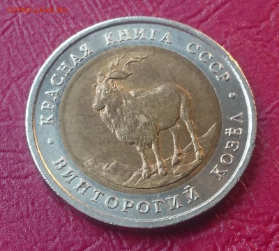 5 РУБЛЕЙ 1991 ВИНТОРОГИЙ КОЗЁЛ до 03.06.19  22:10 МСК - DSC_0937.JPG