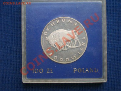 100 злотых 1977 г, Зубр, серебро - DSCN5111.JPG
