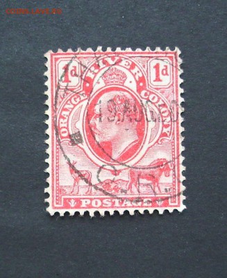 КОЛОНИЯ ОРАНЖЕВОЙ РЕКИ.  1905 г..  До 02.06.. - IMG_7416.JPG