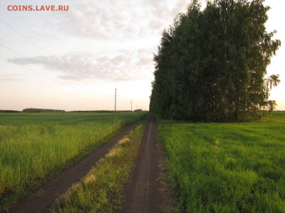 Физическая активность и спорт. Делимся опытом. - IMG_2089.JPG