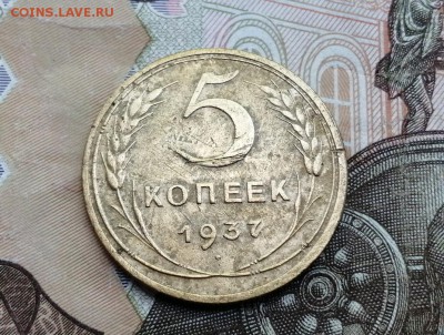 5 копеек 1937 года до 06.06.2019г в 22.00 - 6ZRU8xv15Xw