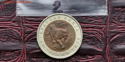 10 рублей 1992. Амурский Тигр хороший. До 05.06 - IMG_20190212_110808