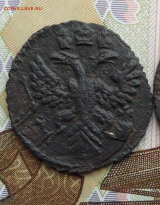 Полушка и Деньга 1731 года(перечеканы),до 07.06.19 22.00 мск - 22222.JPG