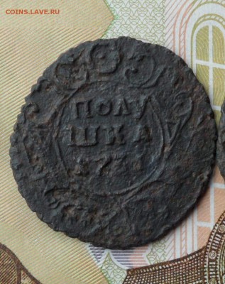 Полушка и Деньга 1731 года(перечеканы),до 07.06.19 22.00 мск - 11111.JPG